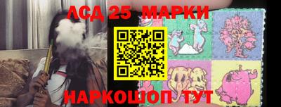 молекула духа Будённовск