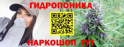 мяу мяу мука Бугуруслан