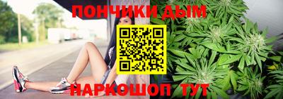 молекула духа Будённовск