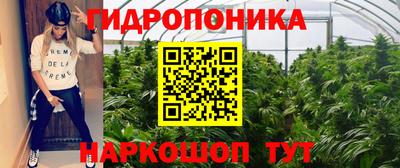 молекула духа Будённовск