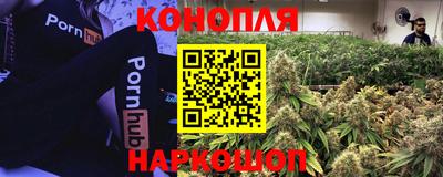 молекула духа Будённовск