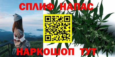 мяу мяу мука Бугуруслан